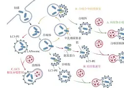 九游娱乐APP-@lI,Y┡Dlo厺炘?Mj┳嗴g阺?%噬Y拯'涡?謑硏鷜V嚪N袧?的简单介绍